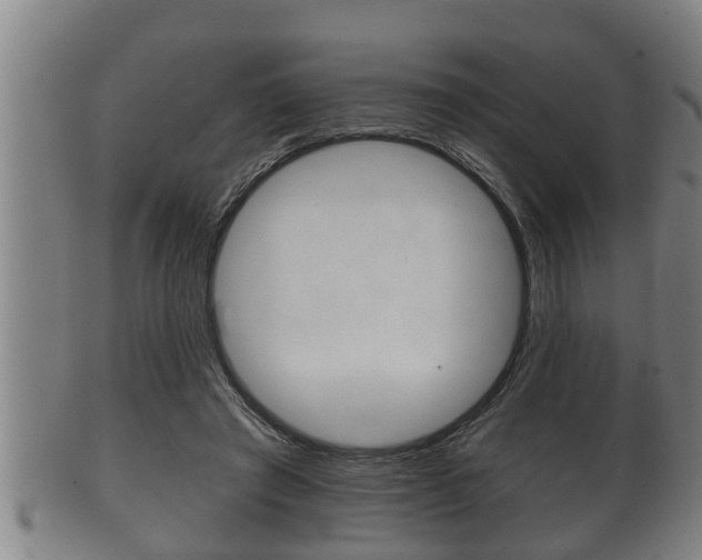 X0000100370401200806060807