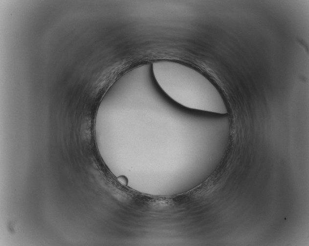 X0000100370402200806060807