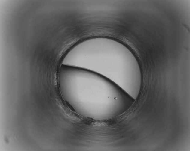 X0000100370403200806060807