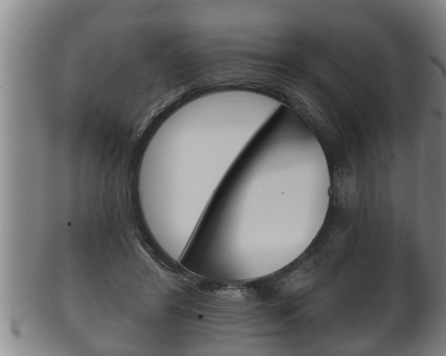 X0000100370404200806060807