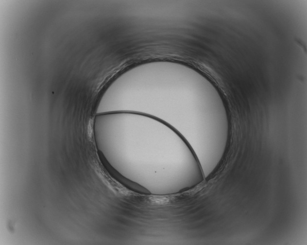 X0000100370405200806060807