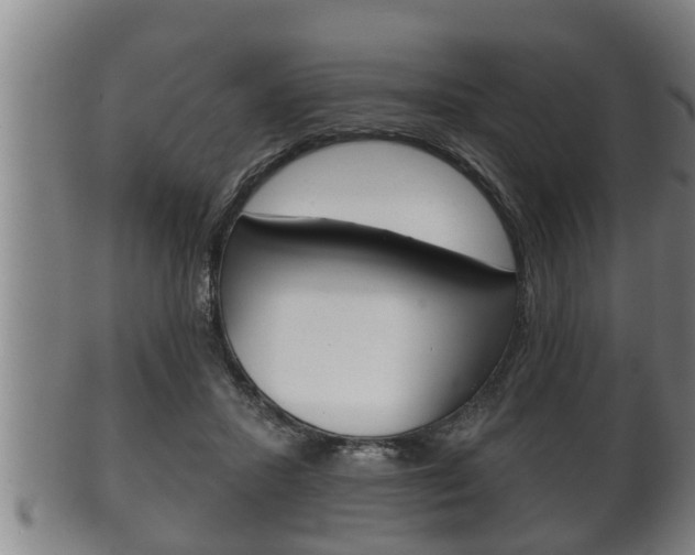 X0000100370407200806060807
