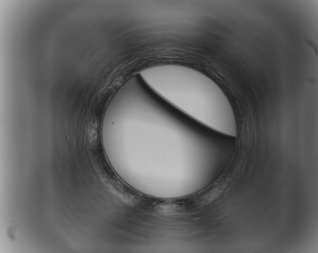 X0000100370408200806060807