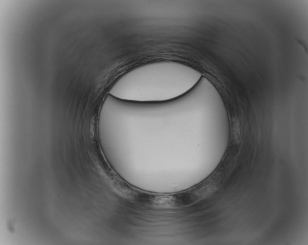 X0000100370410200806060807