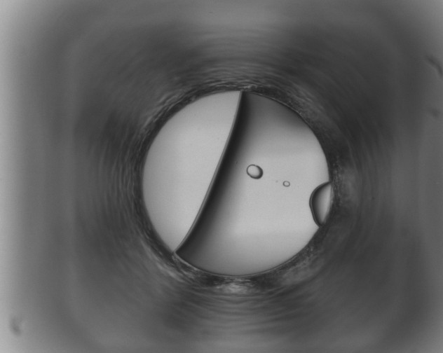 X0000100370412200806060807