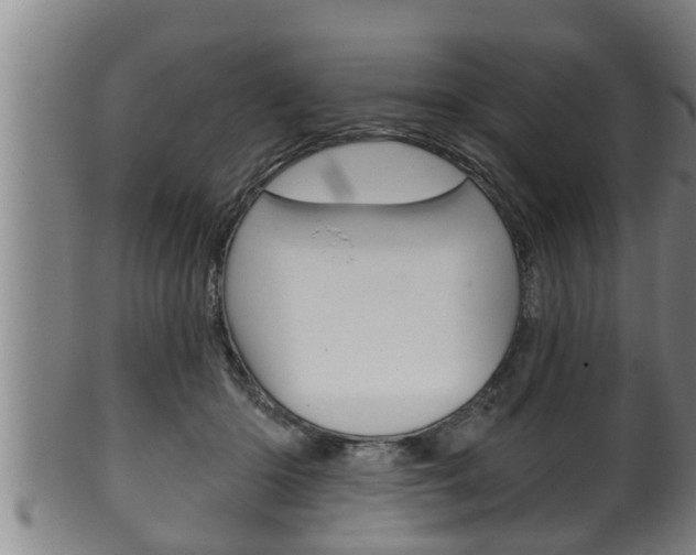 X0000100370414200806060806