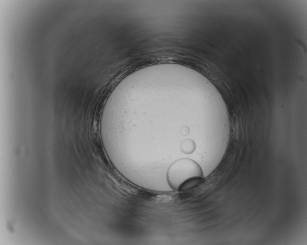 X0000100370418200806060806
