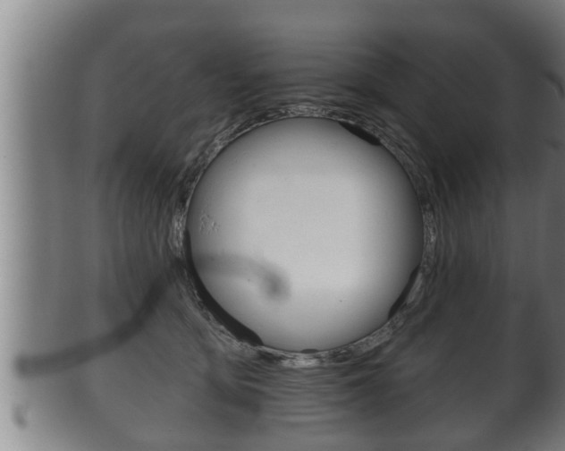 X0000100370419200806060806
