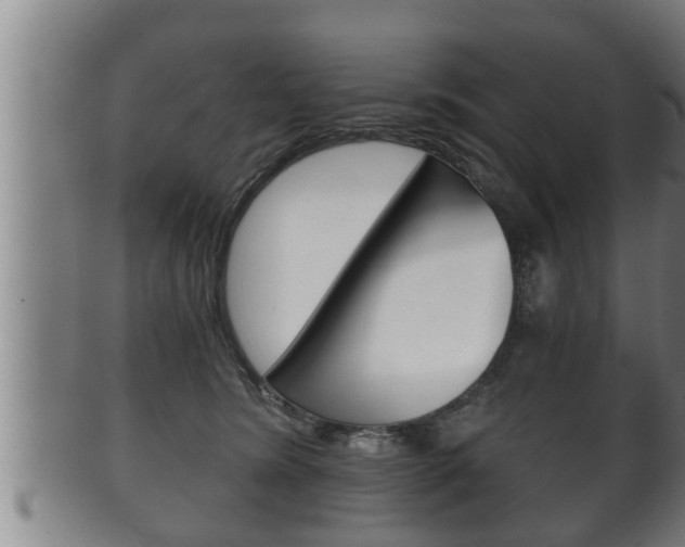 X0000100370420200806060806