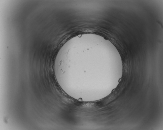 X0000100370422200806060806