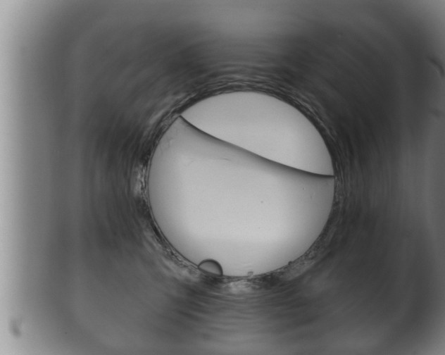 X0000100370423200806060806
