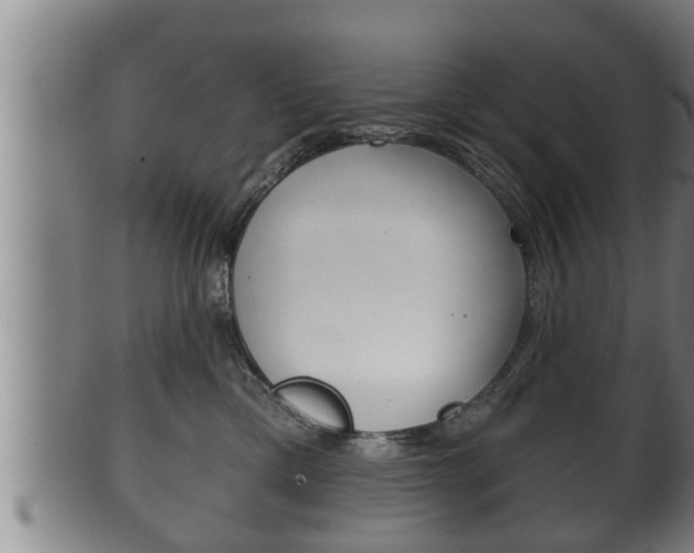 X0000100370425200806060806