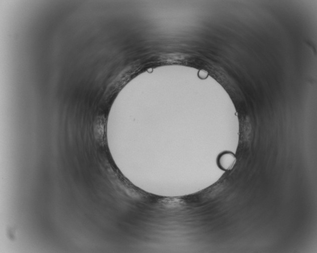 X0000100370427200806060806