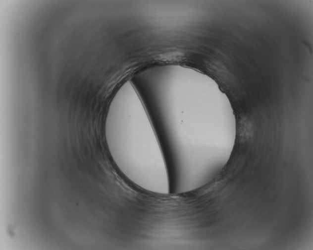 X0000100370428200806060806