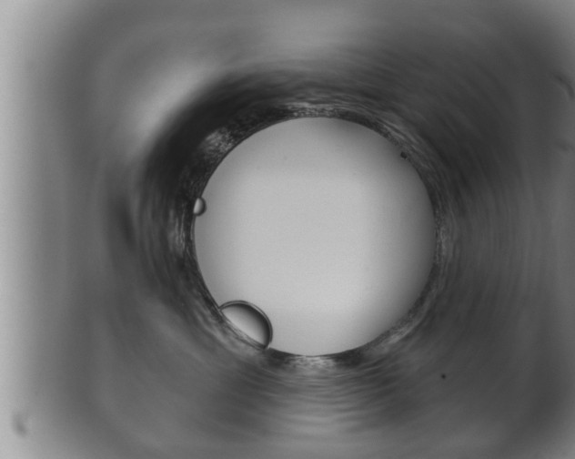 X0000100370429200806060806
