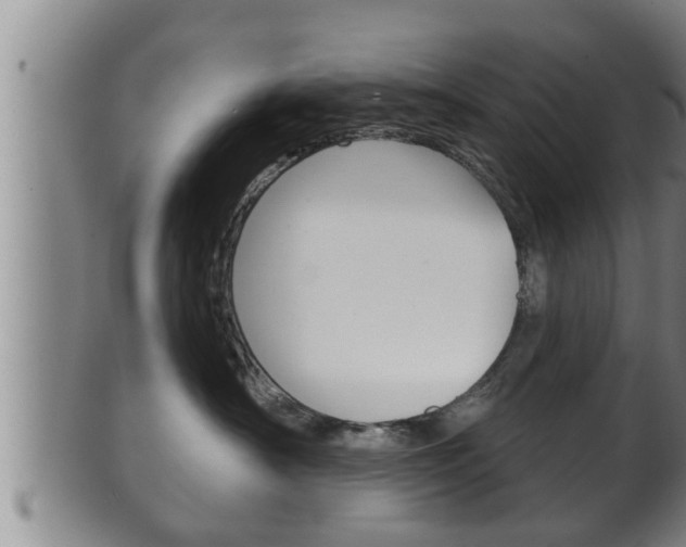 X0000100370430200806060806