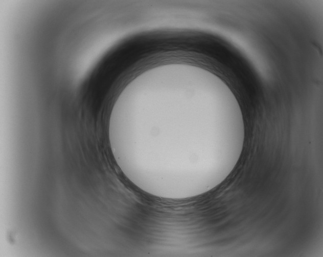 X0000100370431200806060806