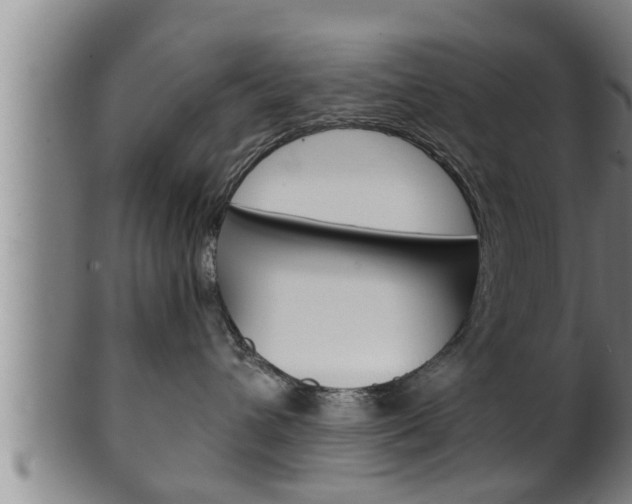 X0000100370432200806060806