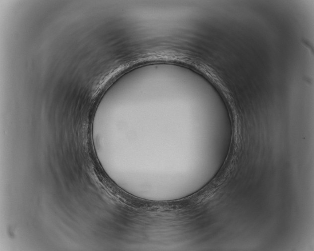 X0000100370434200806060805