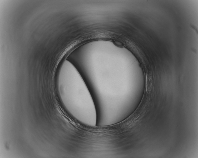 X0000100370435200806060805