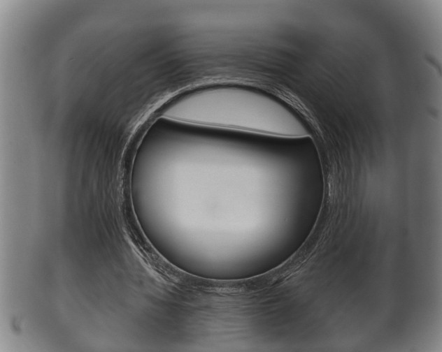 X0000100370436200806060805