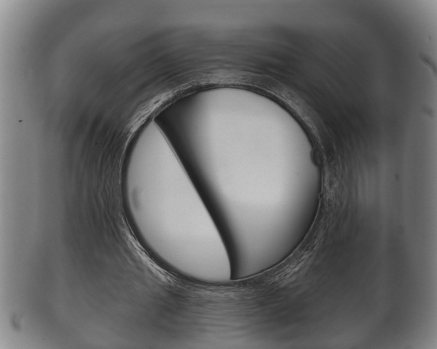 X0000100370437200806060805