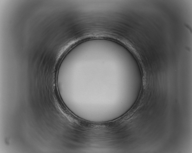 X0000100370438200806060805