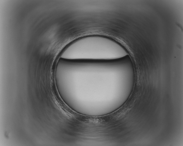 X0000100370439200806060805