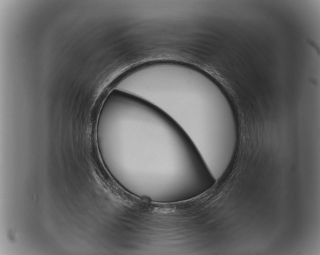 X0000100370440200806060805