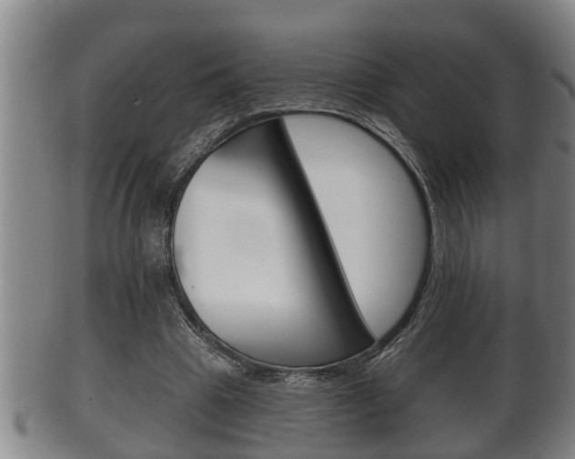X0000100370441200806060805