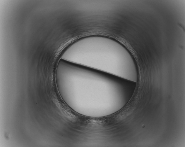 X0000100370442200806060805