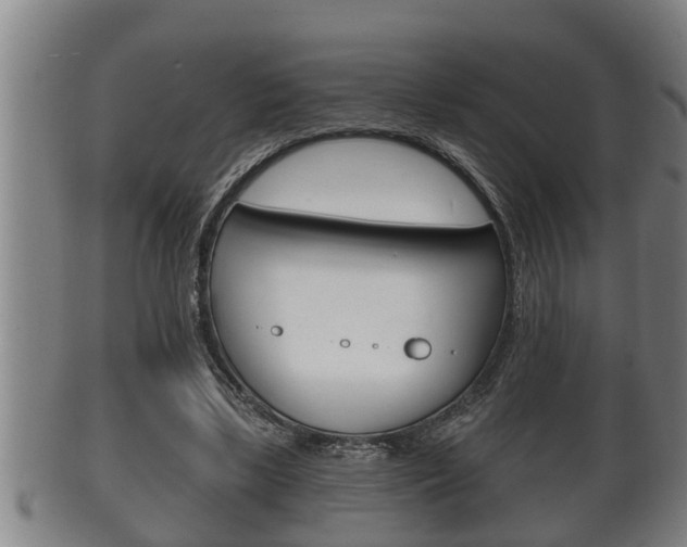 X0000100370443200806060805
