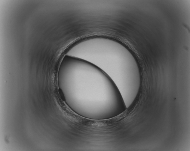 X0000100370444200806060805