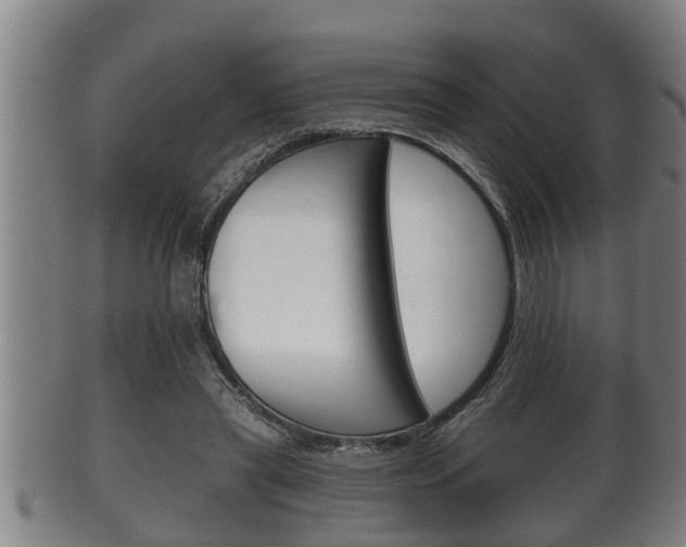 X0000100370445200806060805