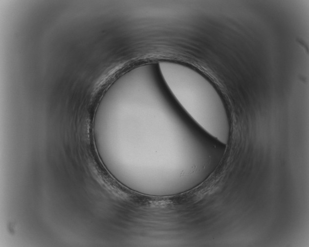 X0000100370446200806060805