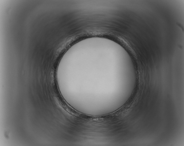 X0000100370447200806060805