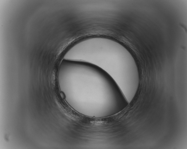 X0000100370448200806060805