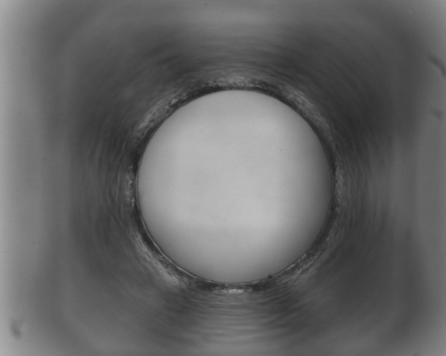 X0000100370449200806060805