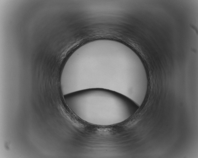 X0000100370450200806060806