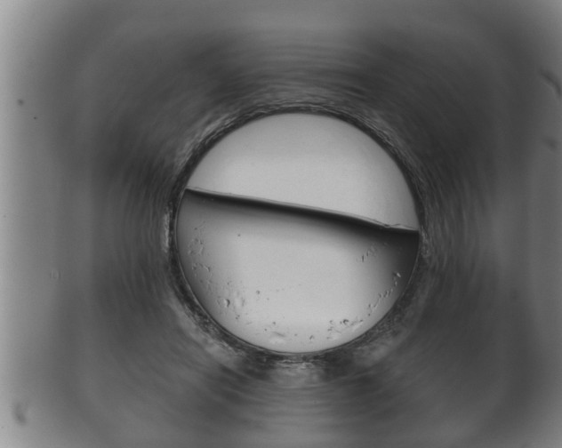 X0000100370454200806060806