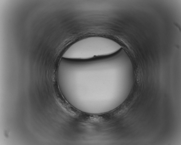 X0000100370455200806060806