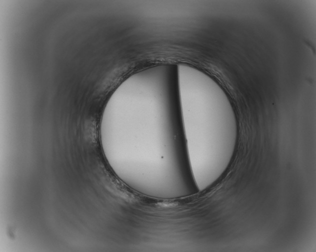 X0000100370457200806060806
