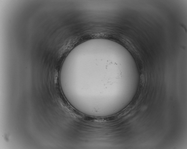 X0000100370458200806060806