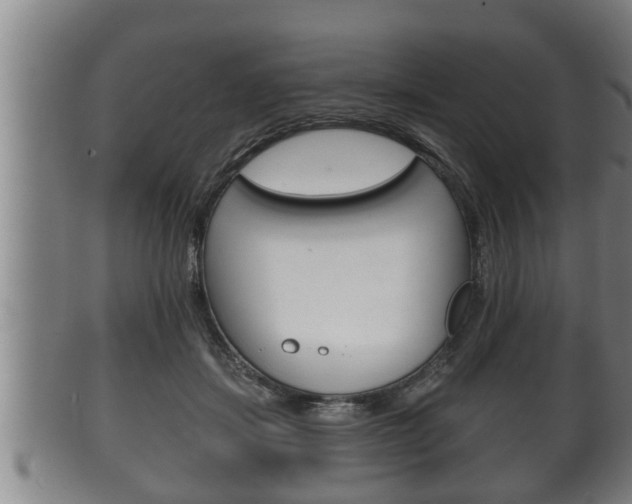 X0000100370459200806060806