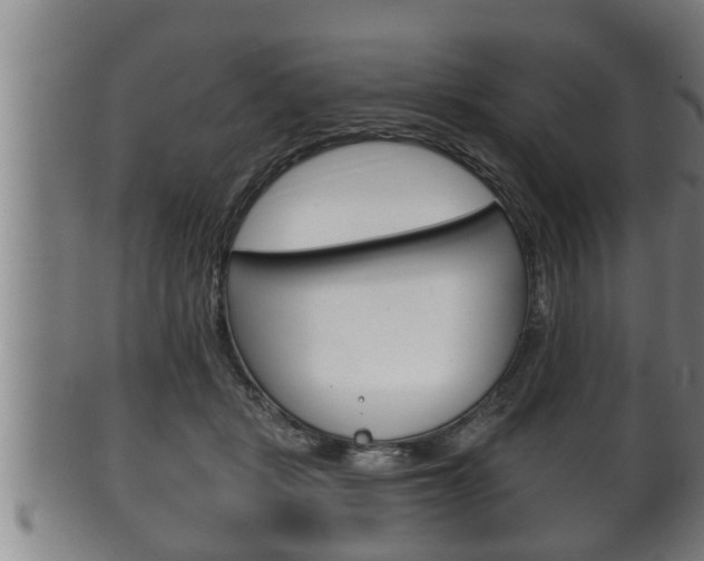 X0000100370461200806060806