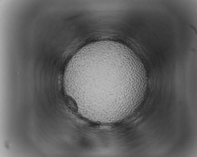 X0000100370462200806060806