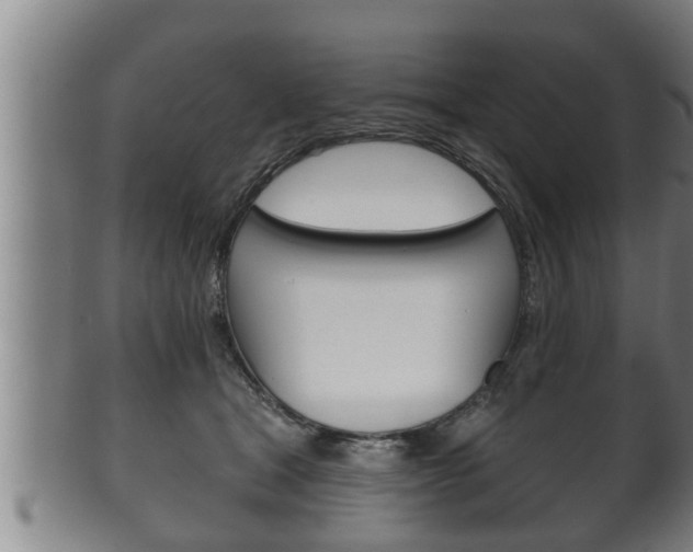 X0000100370465200806060806