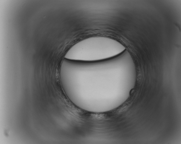 X0000100370469200806060806