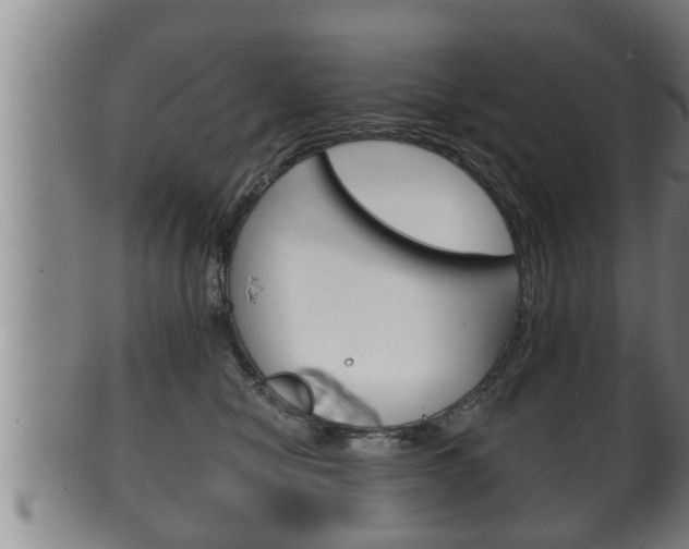 X0000100370470200806060806