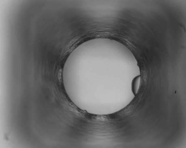 X0000100370475200806060806